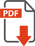 Icon pdf